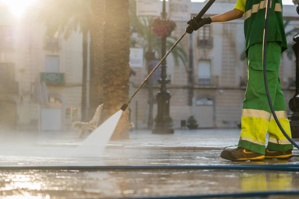 Best Exterior Home Cleaning  in Elkader, IA