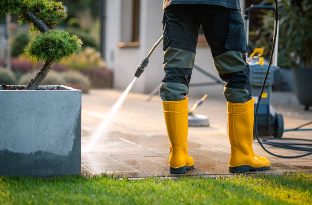 Best Power Washing Near Me  in Elkader, IA